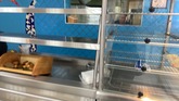 Фото с Restaurant Guru