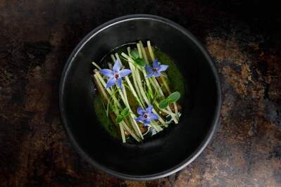 Фотография Mr. Bo