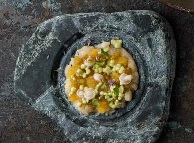 Фотография Mr. Bo