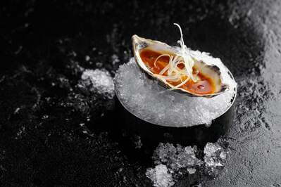 Фотография Mr. Bo