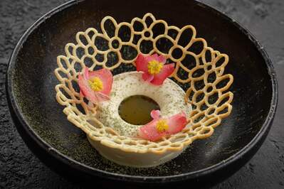 Фотография Mr. Bo