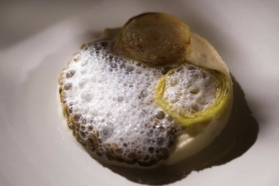 photo de Barbarestan