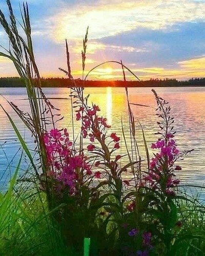 Bistro Panorama foto