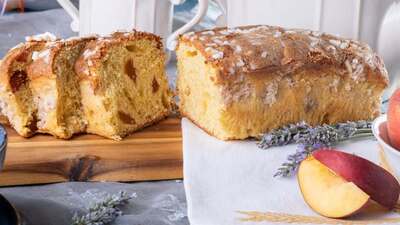 photo de Buccellato Taddeucci