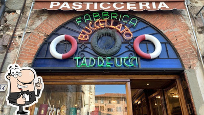 photo de Buccellato Taddeucci