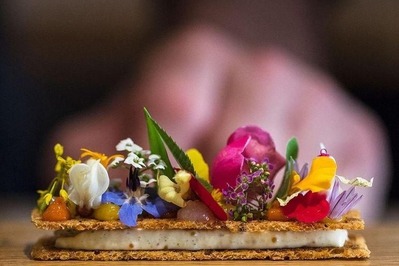 photo de AM par Alexandre Mazzia