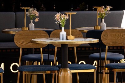 Фотография Mollusca