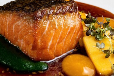 Фотография Mollusca