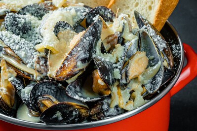 Фотография Mollusca