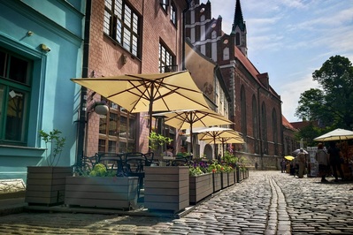 photo de Domini Canes