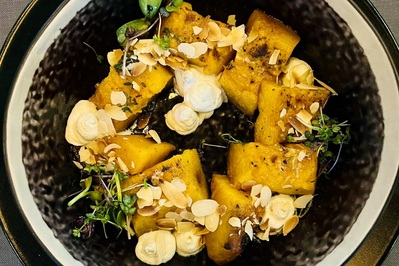 photo de Domini Canes