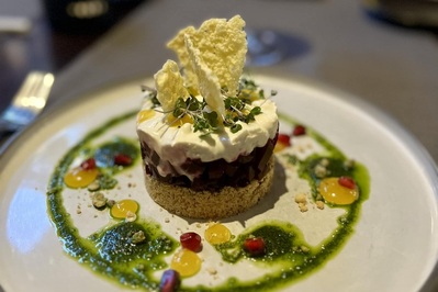 photo de Domini Canes