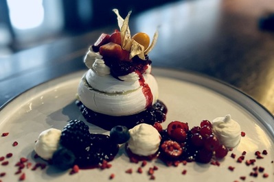 photo de Domini Canes