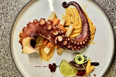 photo de Domini Canes