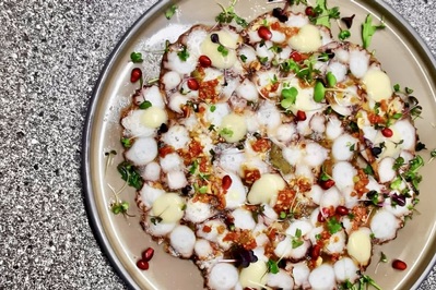 photo de Domini Canes