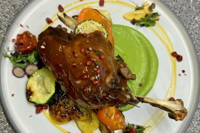 photo de Domini Canes