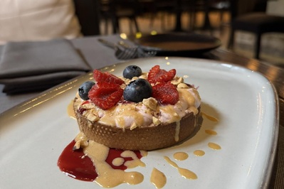 photo de Domini Canes