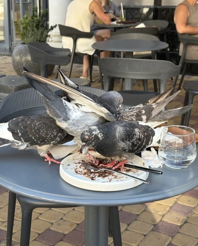 Фотография Прокофьев