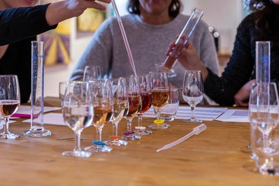 photo de Domaine Terre de Mistral