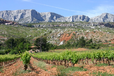 photo de Domaine Terre de Mistral