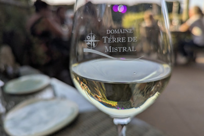 photo de Domaine Terre de Mistral
