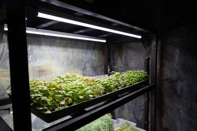 Фотография Кочегарка