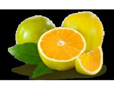 Restaurante Quadri foto