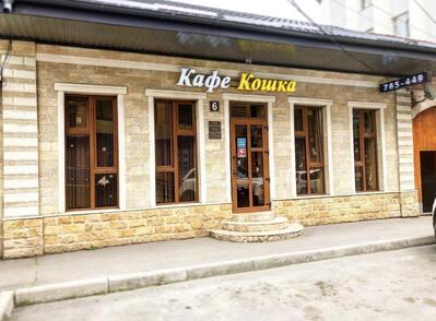 Фотография Кошка