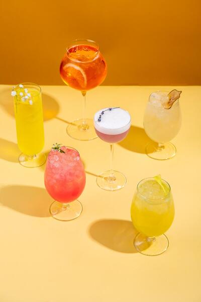 Птичка-Невеличка