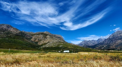 Waverley Hill Organic Wines & Olive Estate