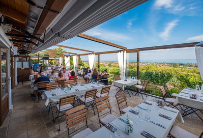 Petrányi Wine Terrace