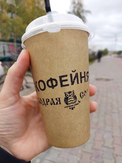 photo de Бодрая сова