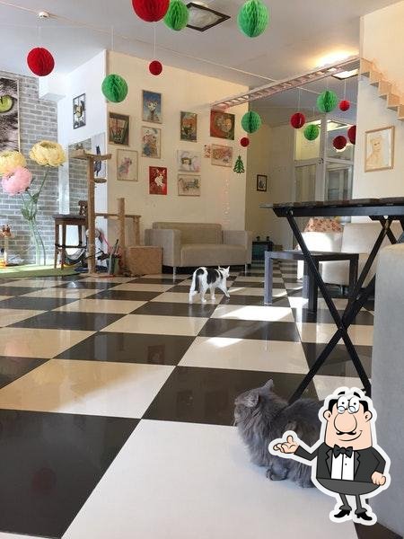 Фото с Foursquare