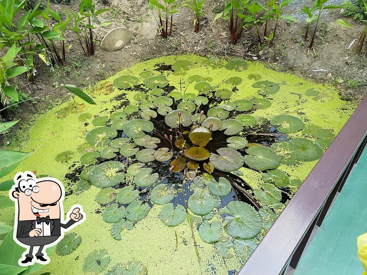 Фото с Google