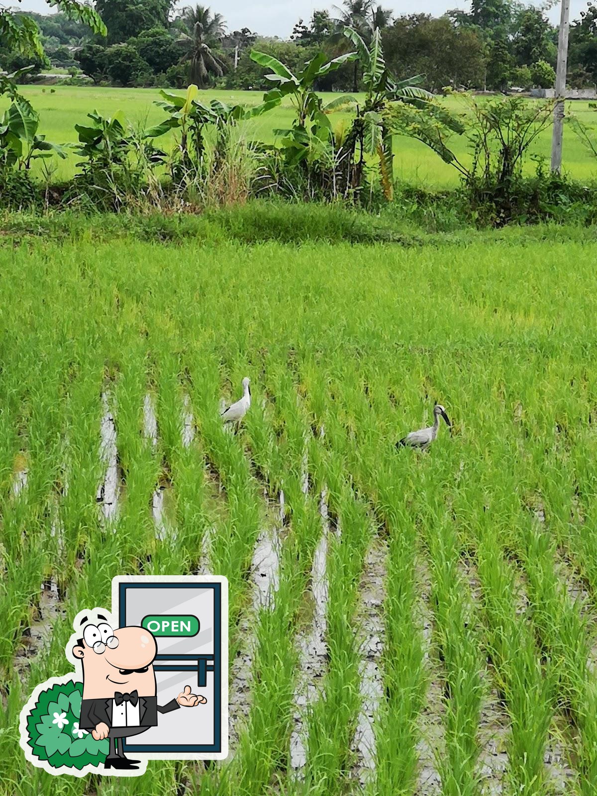 Фото с Google