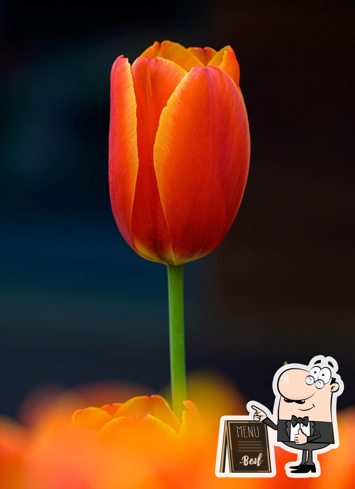 Фото с Google