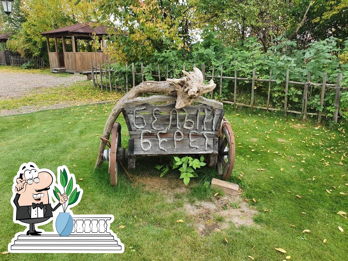 Фото с Google