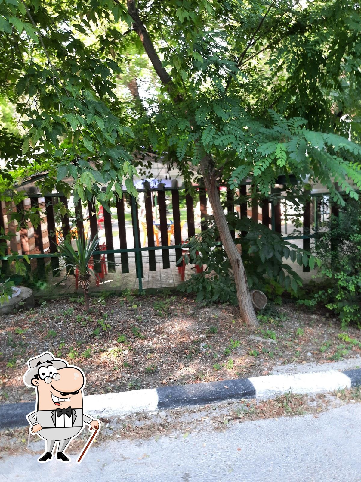 Фото с Google