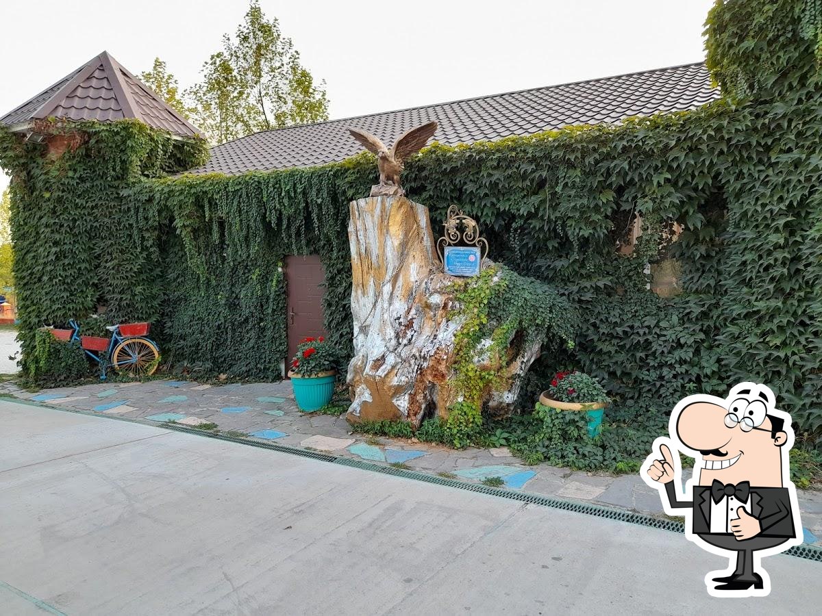 Фото с Google
