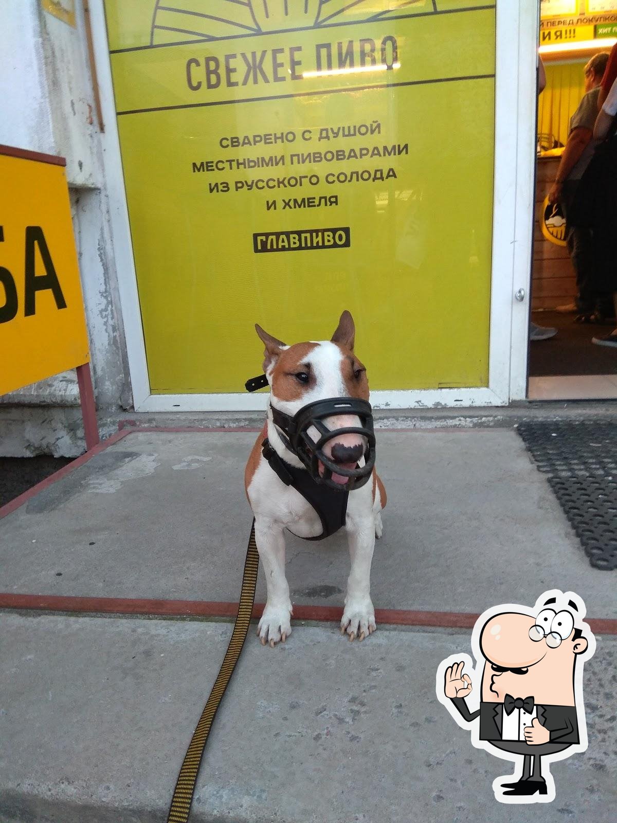 Фото с Google