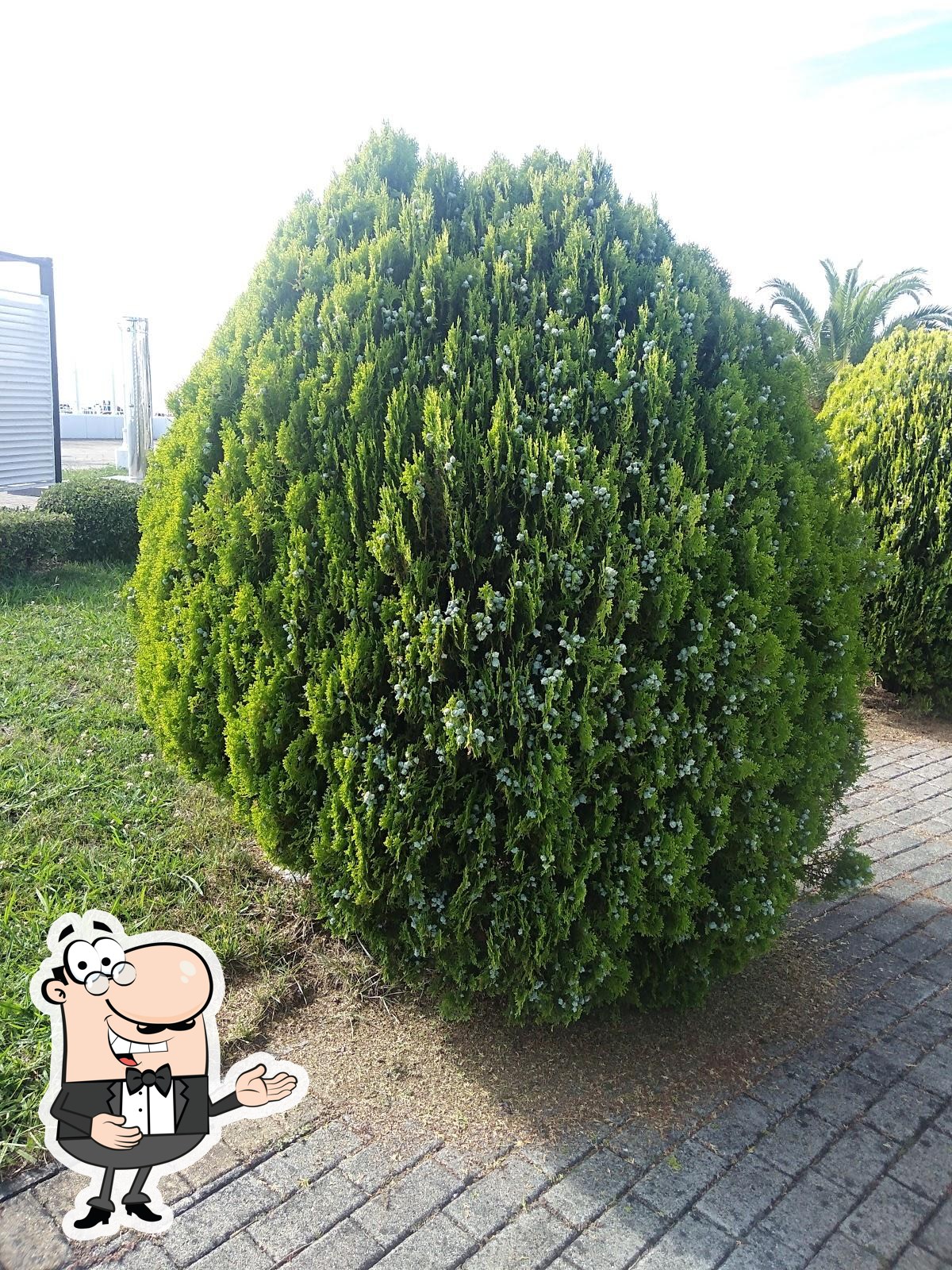 Фото с Google
