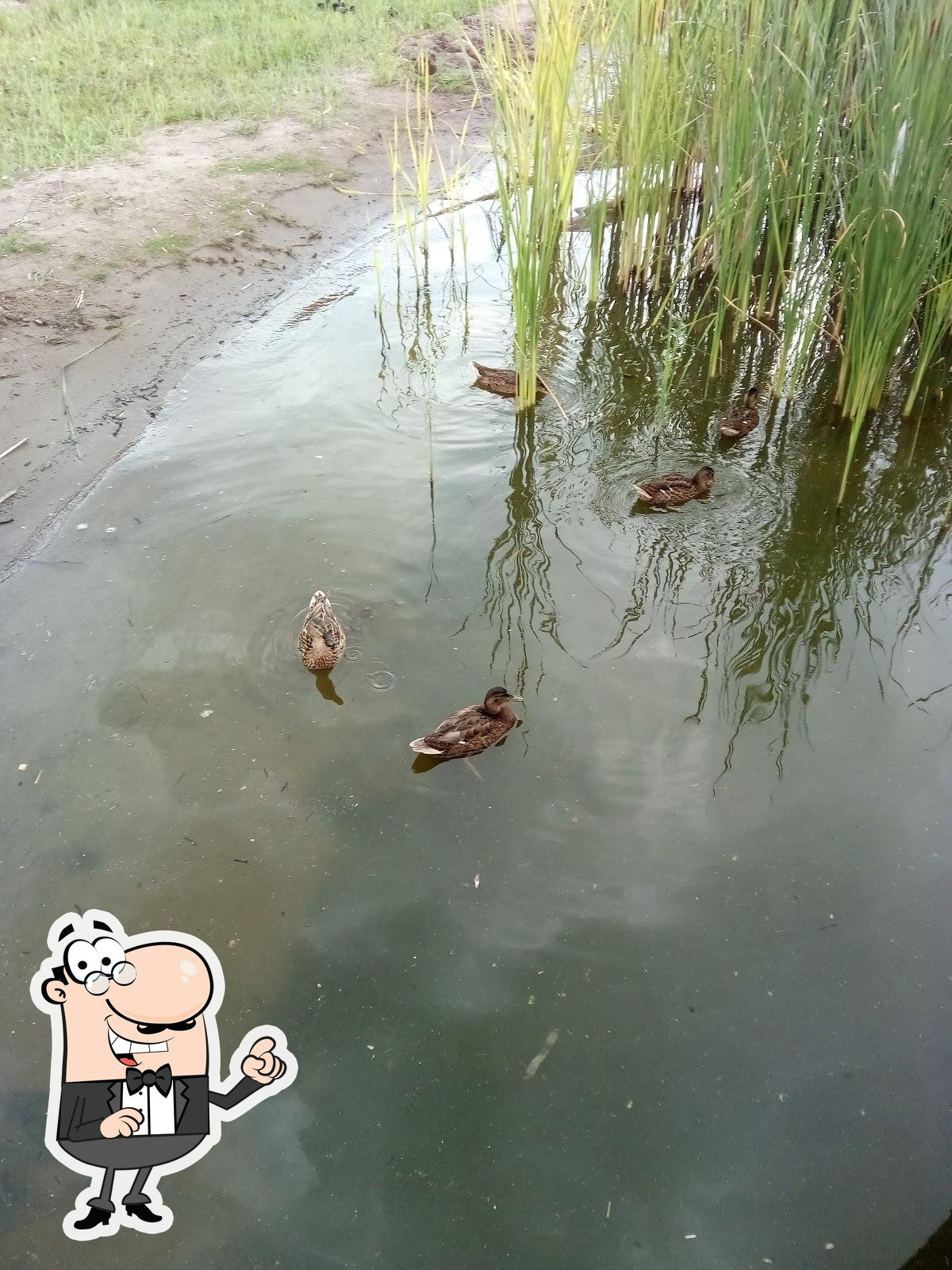 Фото с Google