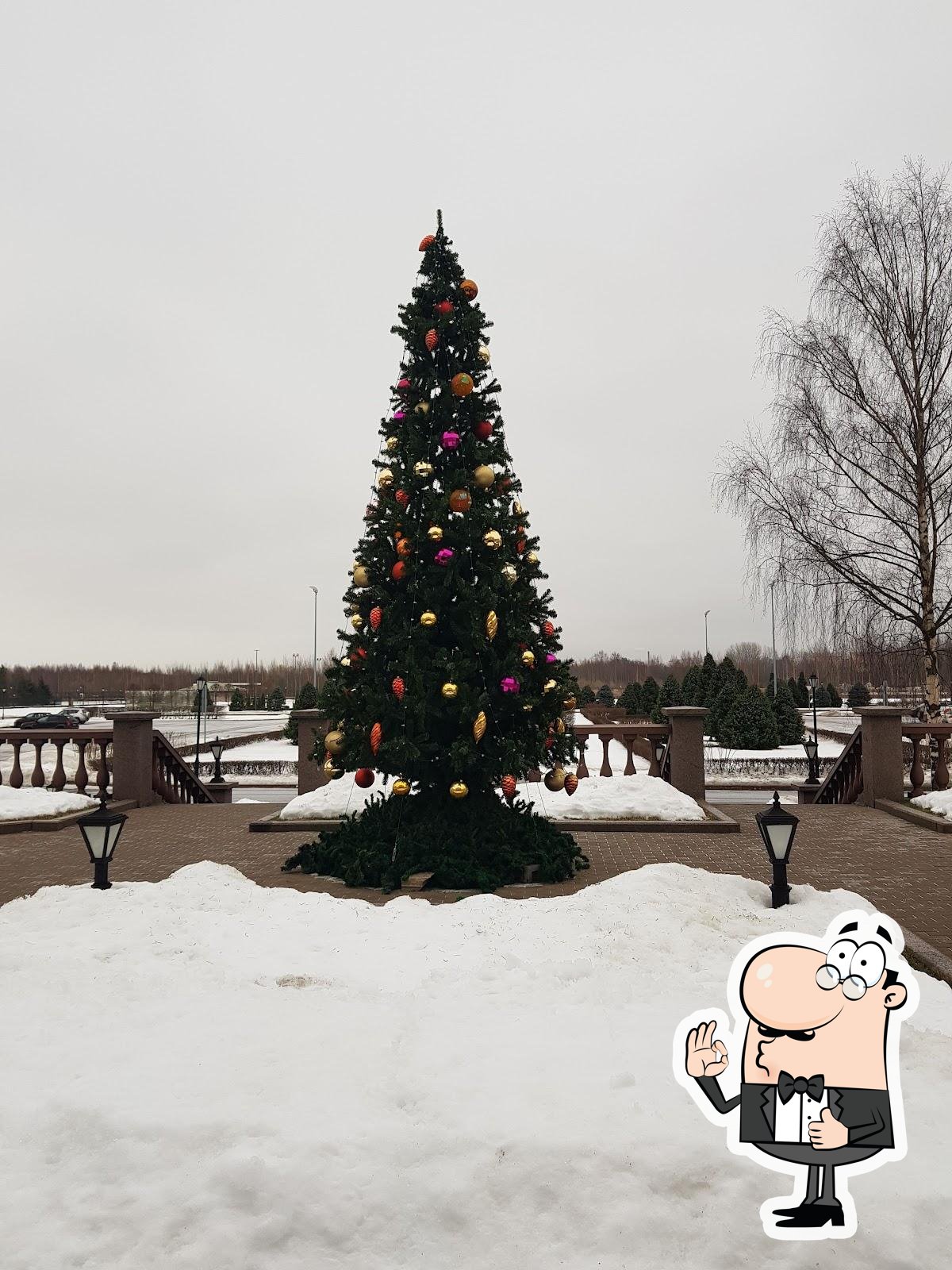 Фото с Google