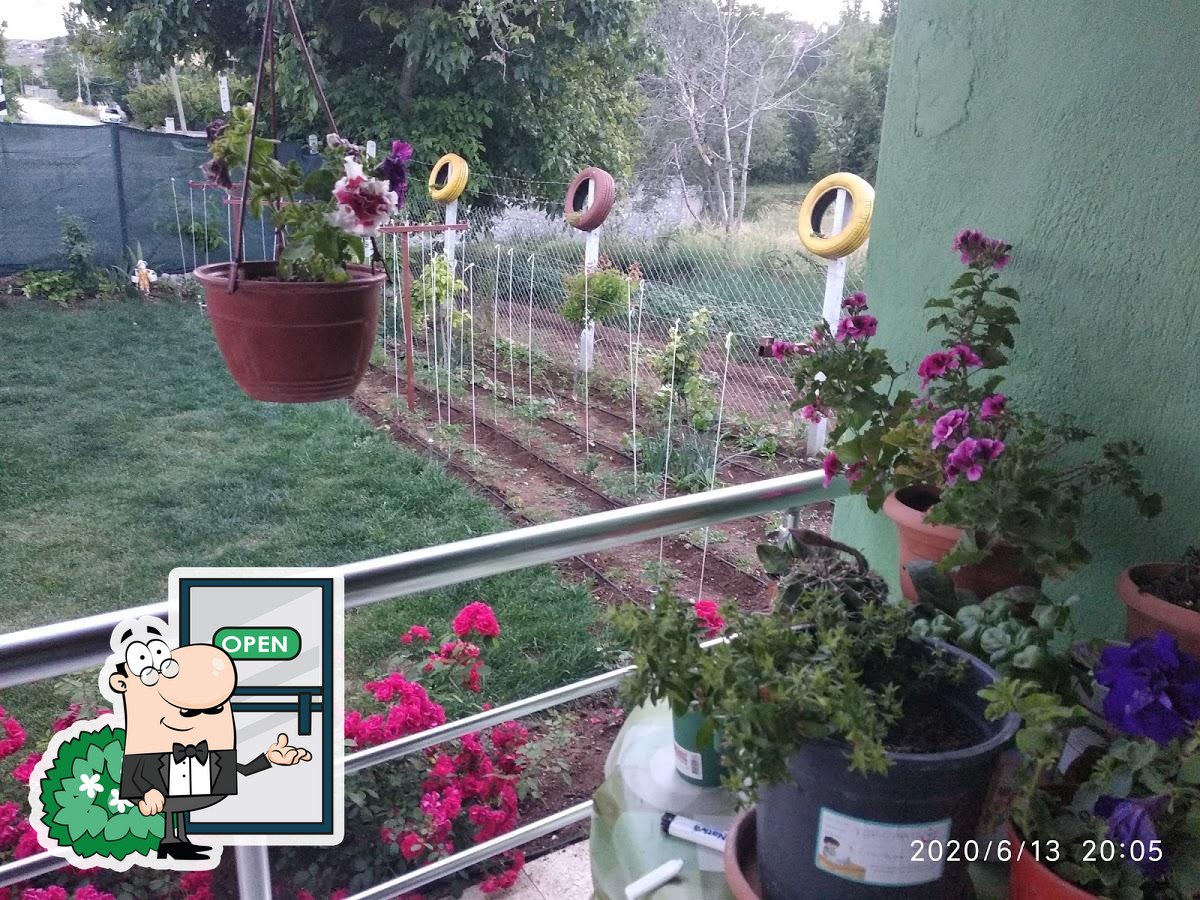 Фото с Google