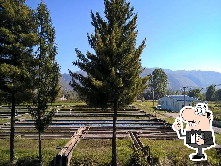 Фото с Foursquare