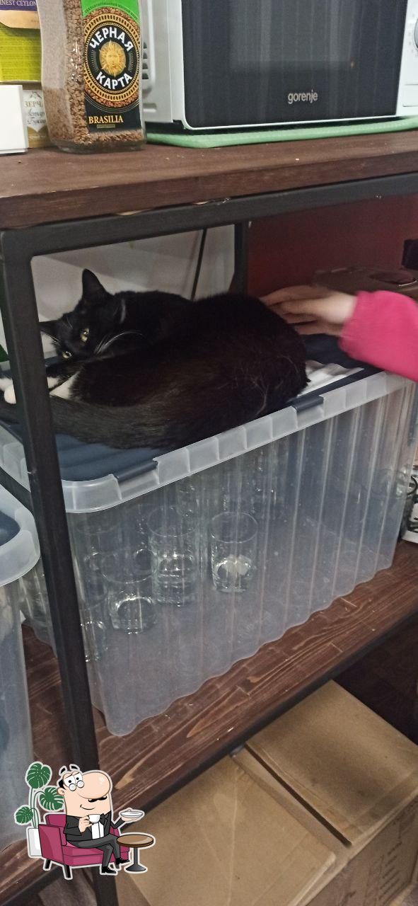 Фото с Google