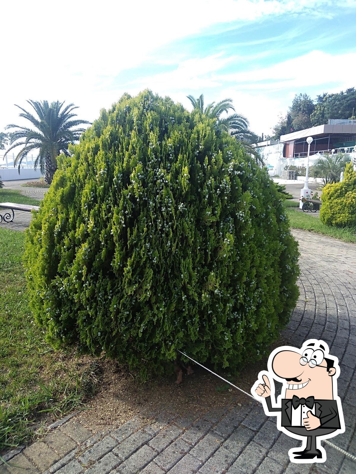 Фото с Google
