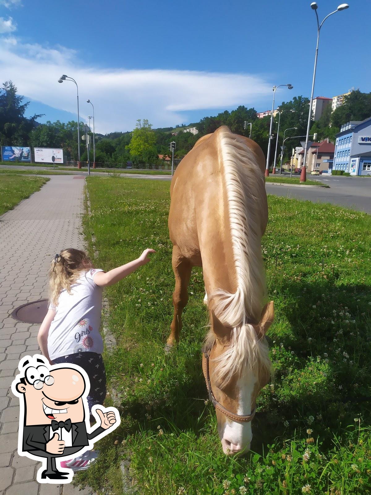 Фото с Google