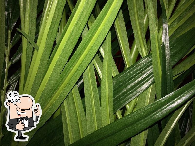Фото с Foursquare