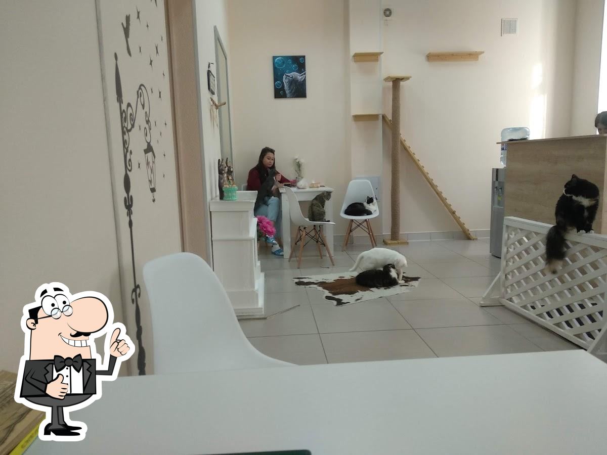 Фото с Google